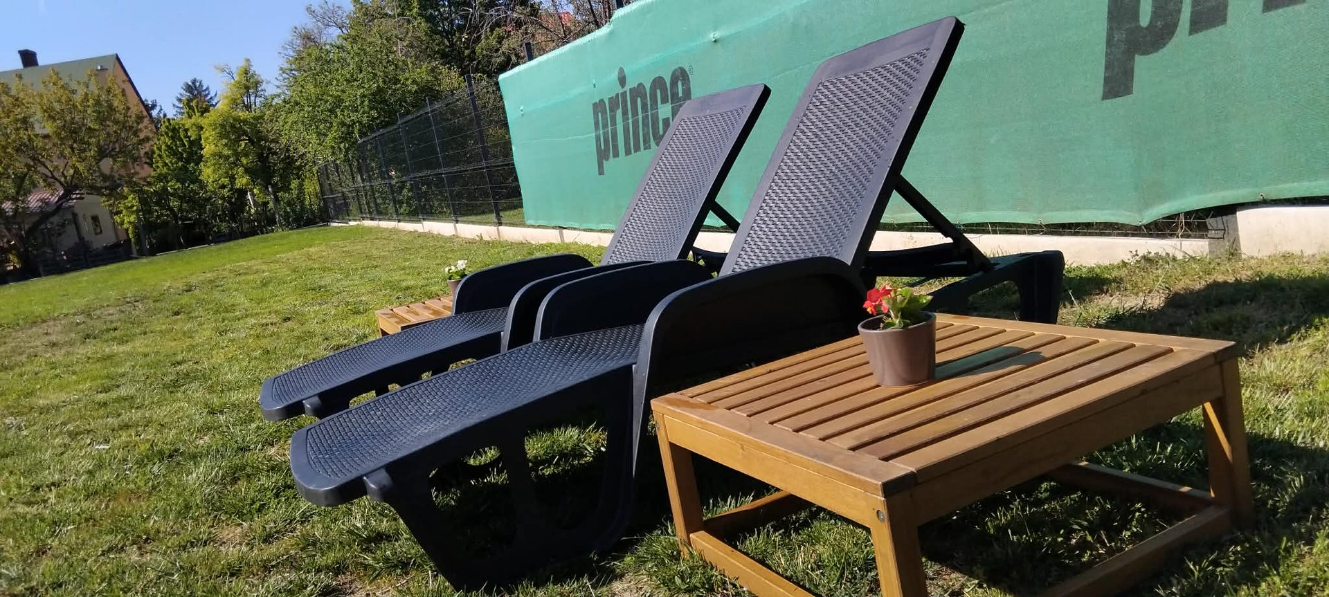 Garden sun loungers for guests