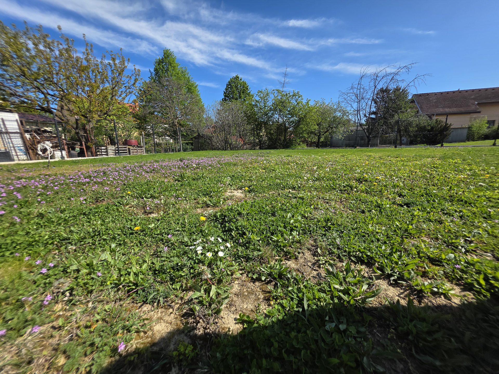 View across the private garden